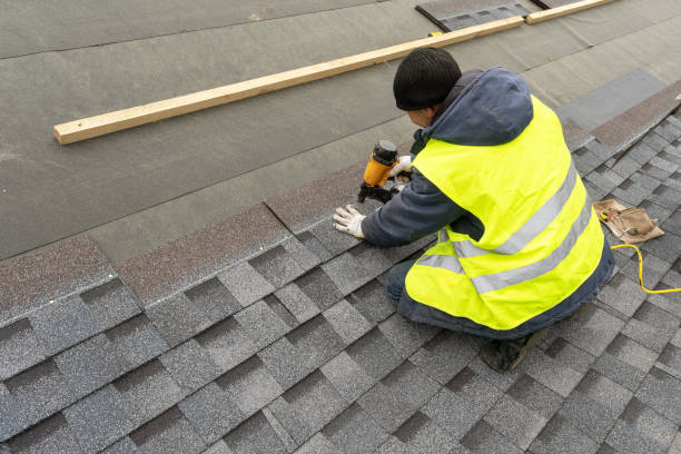 Best Sealant for Roof  in Fridley, MN