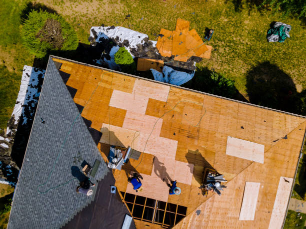 Best Roof Gutter Cleaning  in Fridley, MN