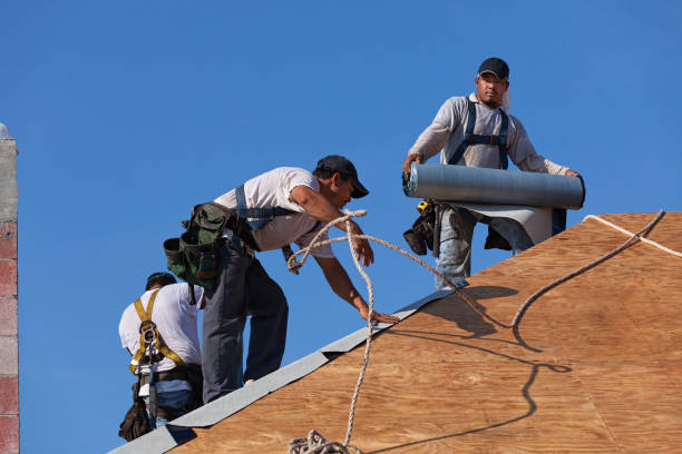 Professional Roofing Contractor in Fridley, MN