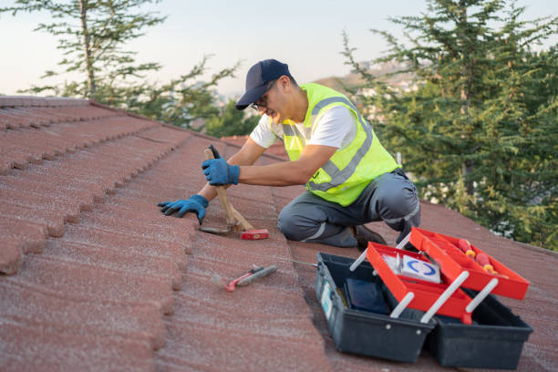Best Flat Roof Repair Services  in Fridley, MN