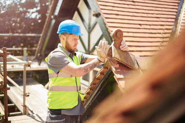 Best Emergency Roof Repair  in Fridley, MN